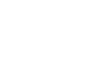 80 Tahun HUT RI